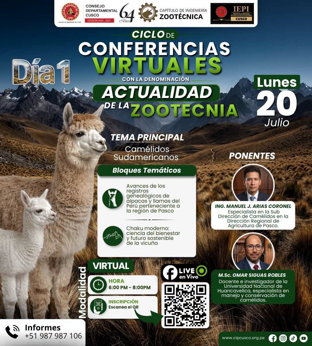 Programas de Apoyo