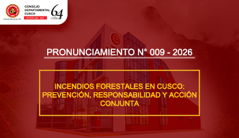 Pronunciamientos
