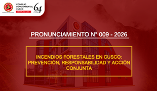 Pronunciamientos