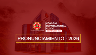 Pronunciamientos