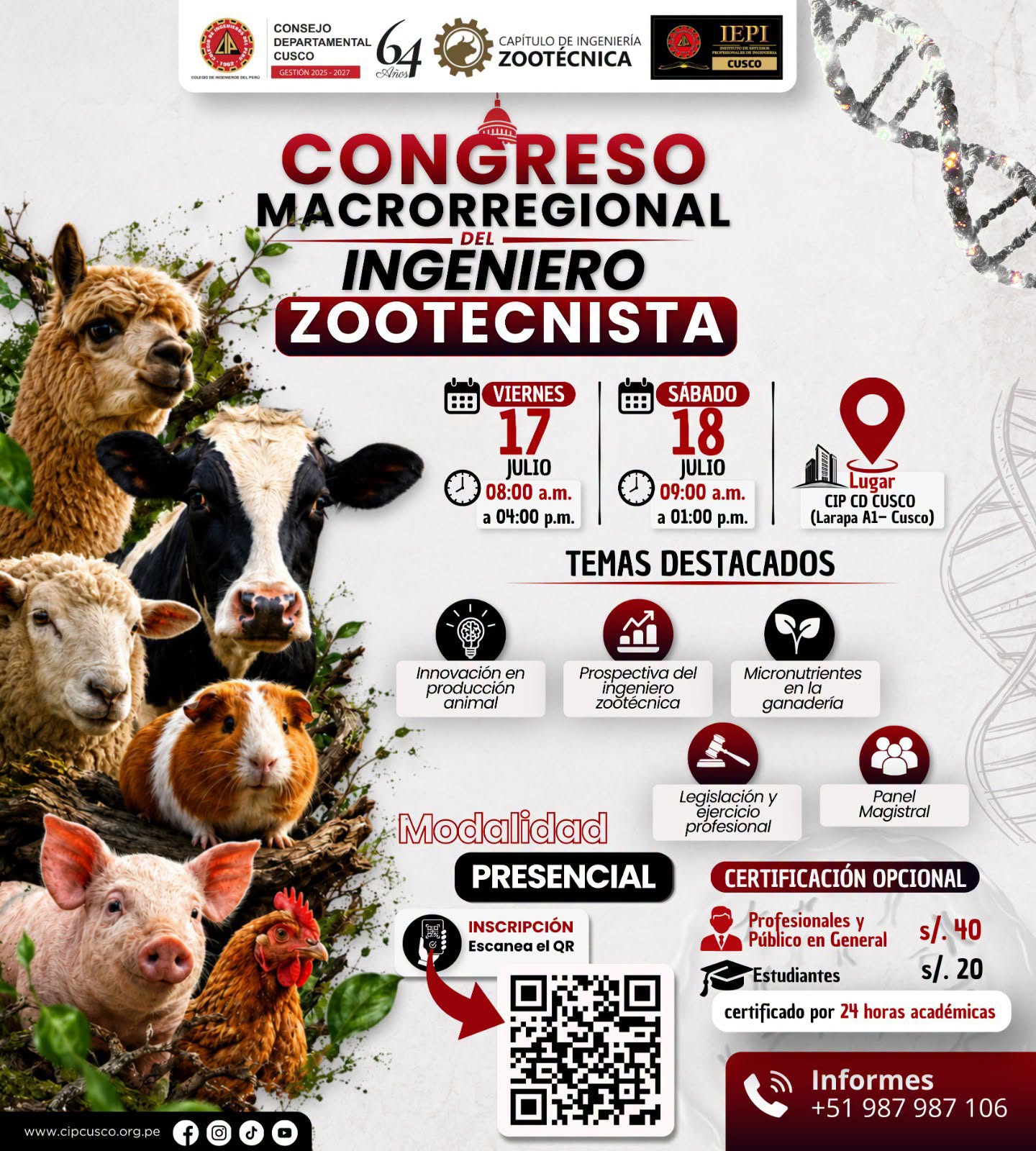 Cursos IEPI